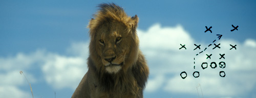 Strategic lion
