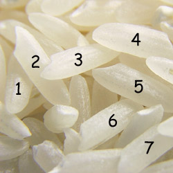 Counting Rice