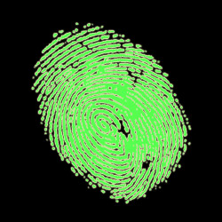 Internet Fingerprints